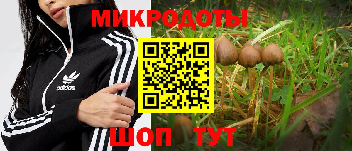 Галлюциногенные грибы Psilocybine cubensis  Галлюциногенные грибы мицелий  Анжеро-Судженск  Вход с VPN 