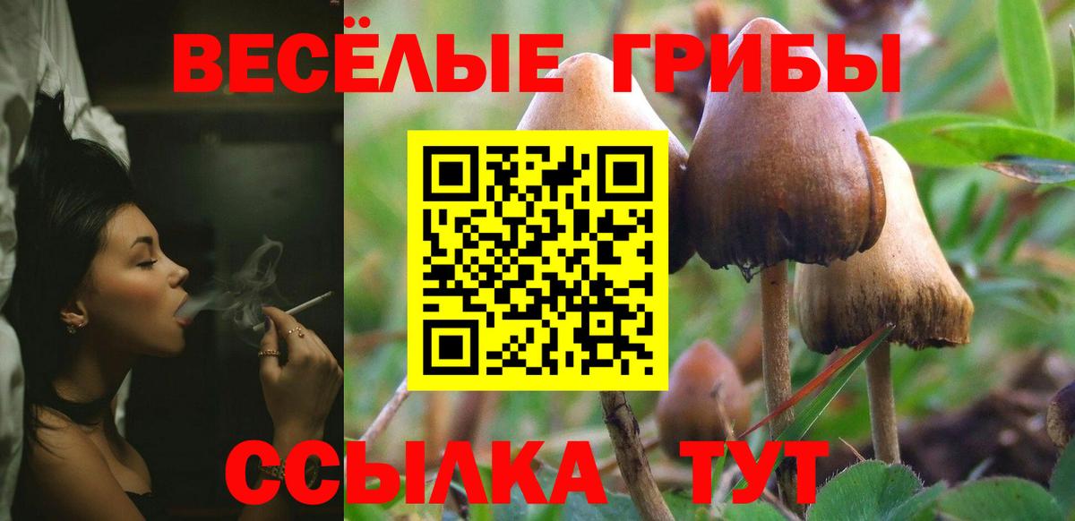 Псилоцибиновые грибы MAGIC MUSHROOMS Анжеро-Судженск